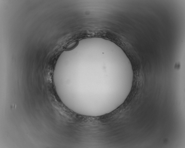 X0000111590770200908061348