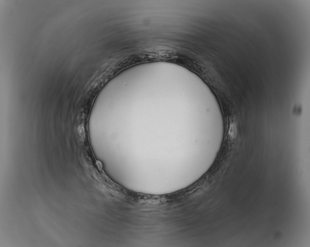 X0000111590771200908061348