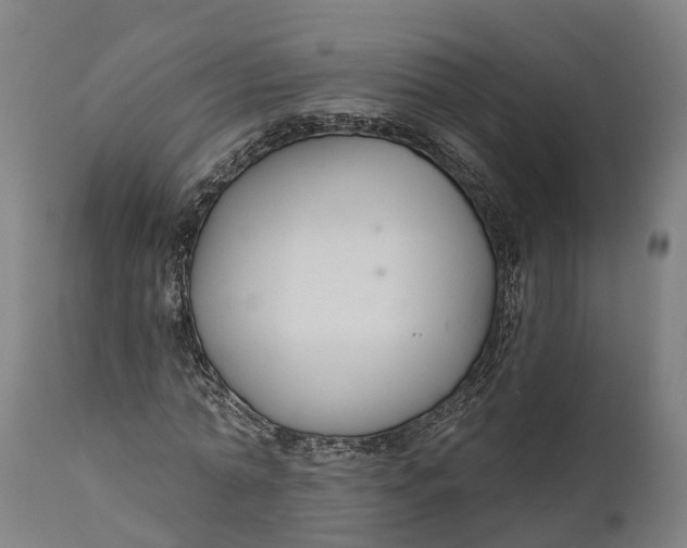 X0000111590774200908061348