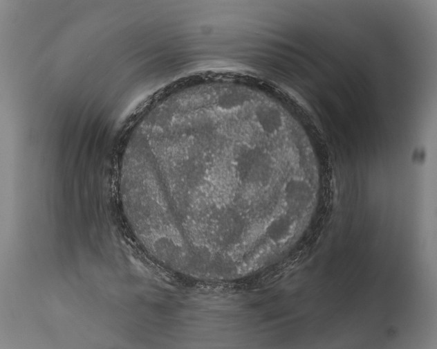 X0000111590775200908061348