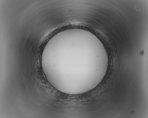 X0000111590776200908061348