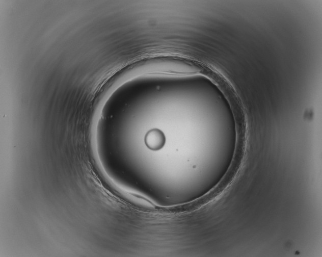 X0000111590777200908061348