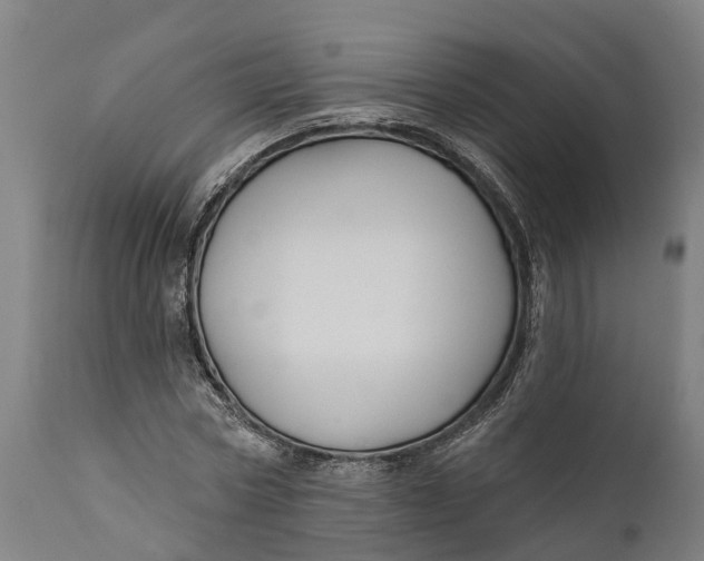 X0000111590778200908061348