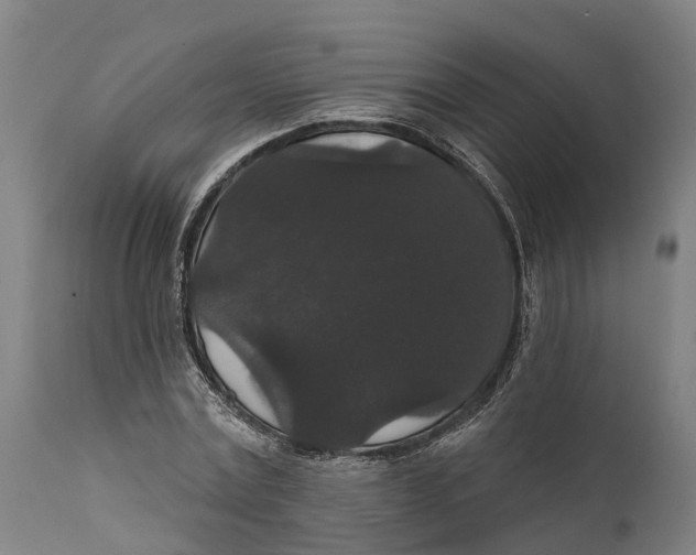 X0000111590779200908061348