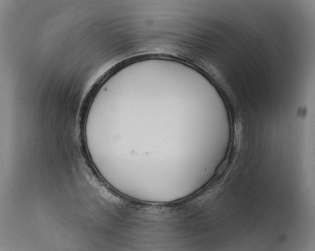 X0000111590780200908061348