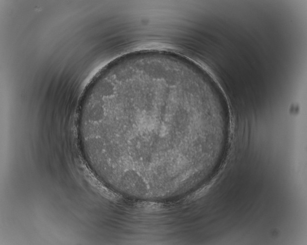 X0000111590783200908061348