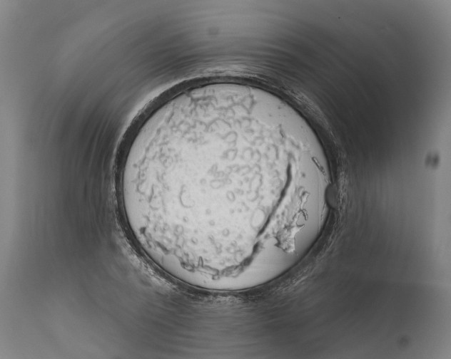 X0000111590784200908061348