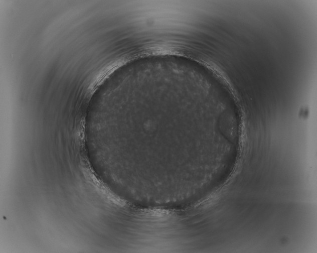 X0000111590785200908061348