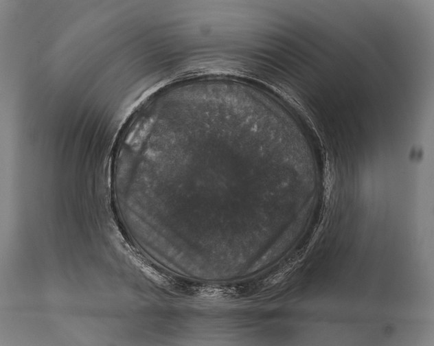 X0000111590790200908061348