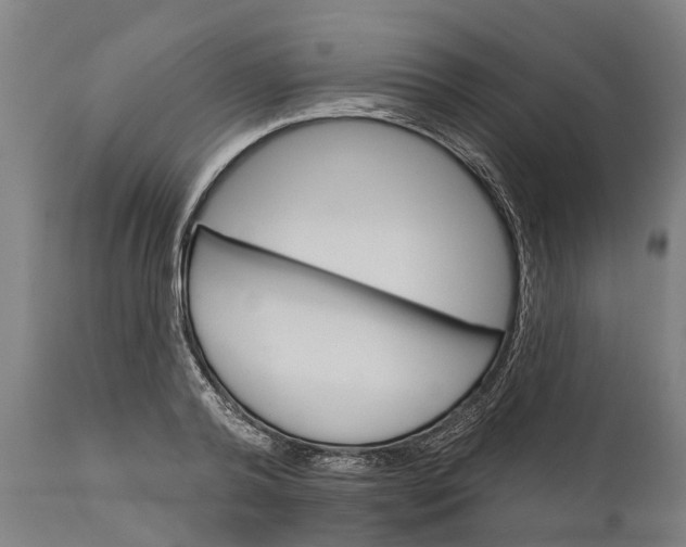 X0000111590792200908061348