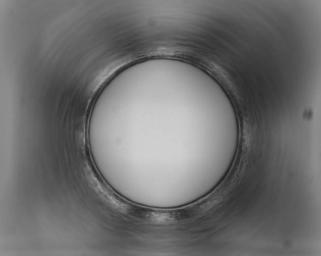 X0000111590794200908061348