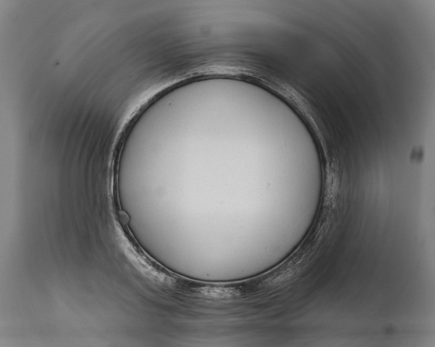 X0000111590795200908061348