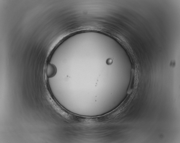 X0000111590796200908061348