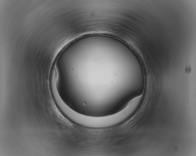 X0000111590797200908061348