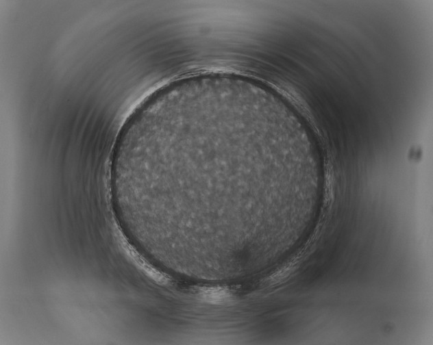 X0000111590798200908061348