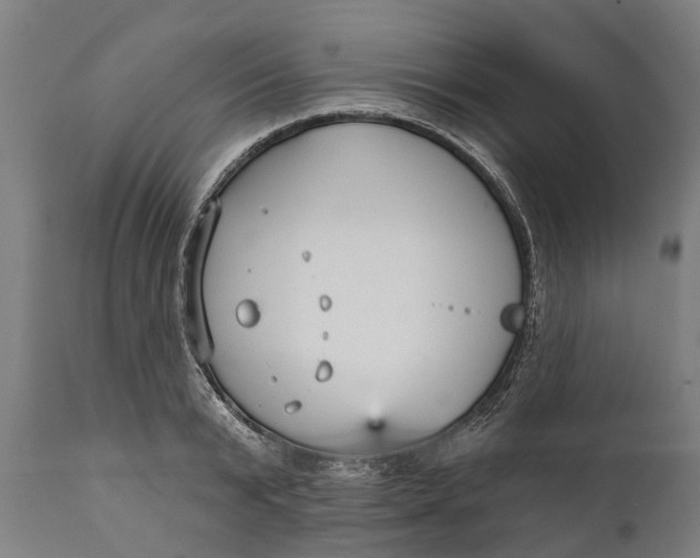 X0000111590799200908061348