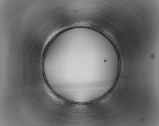 X0000111590800200908061348