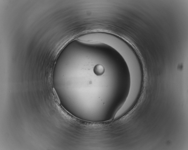 X0000111590801200908061348