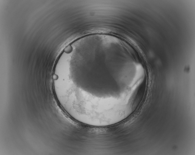 X0000111590802200908061348