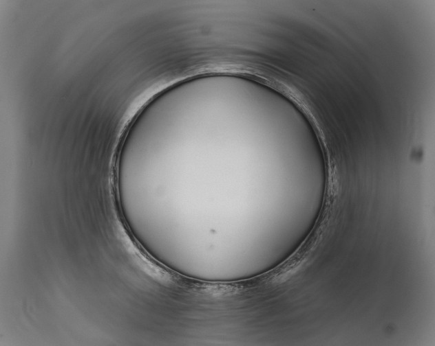 X0000111590803200908061348