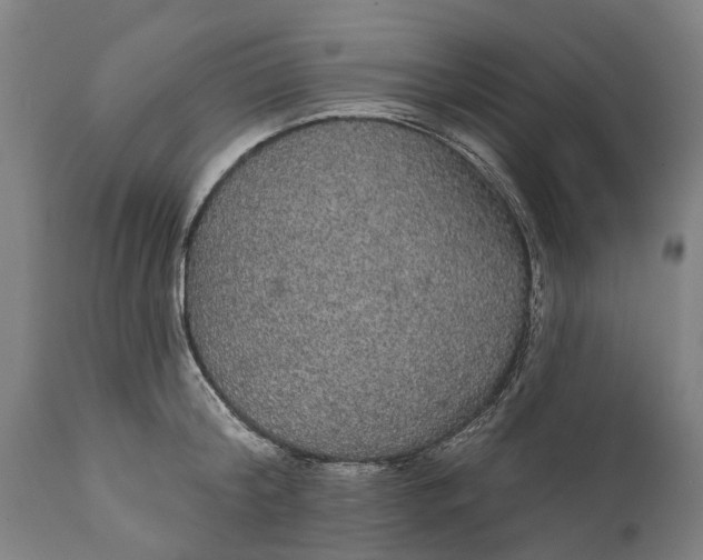 X0000111590804200908061348