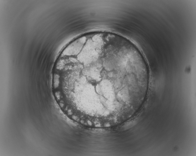 X0000111590807200908061348