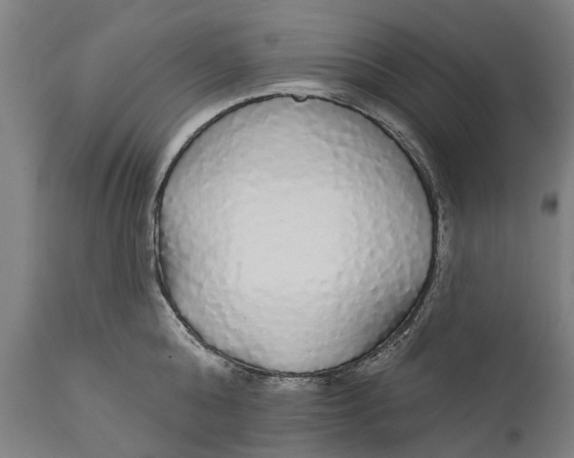 X0000111590808200908061348