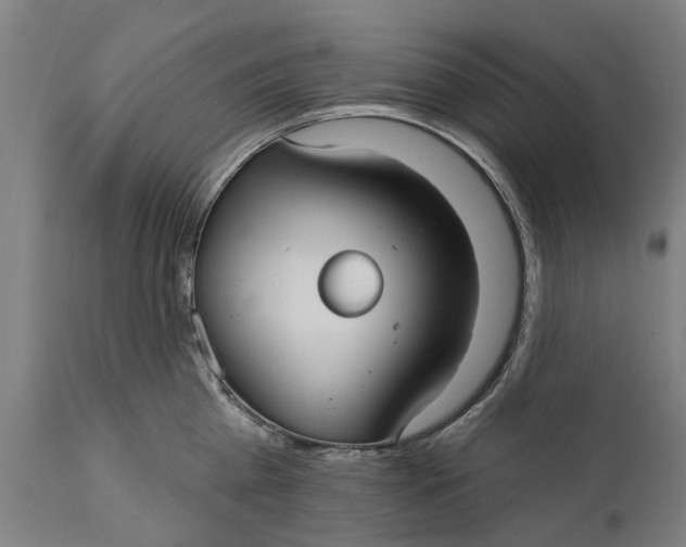 X0000111590809200908061348