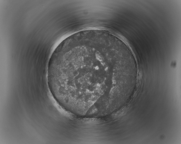 X0000111590811200908061348