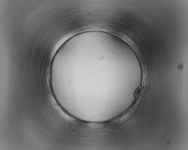 X0000111590812200908061348