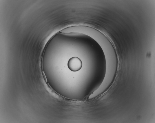 X0000111590813200908061348