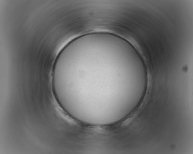 X0000111590814200908061348