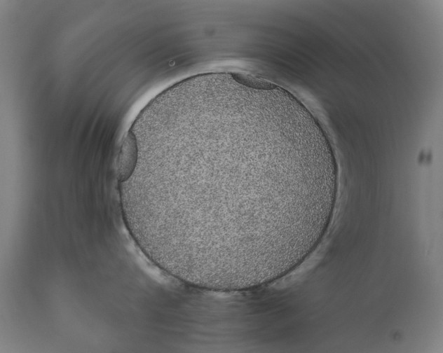 X0000111590816200908061348