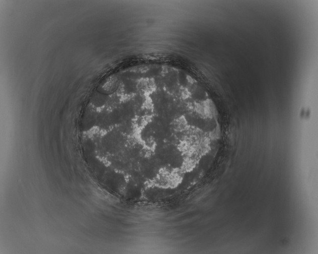 X0000111590817200908061347