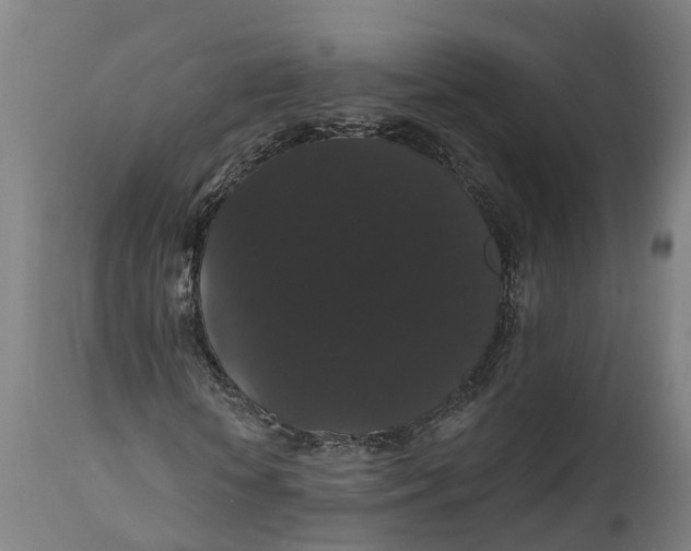 X0000111590818200908061347