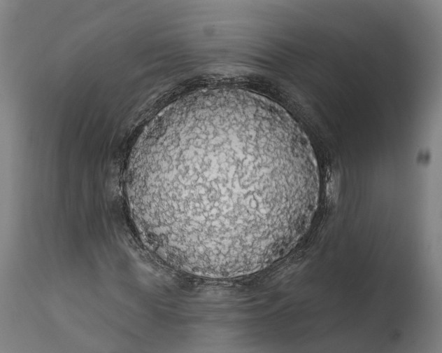 X0000111590819200908061347