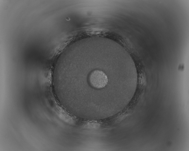 X0000111590820200908061347