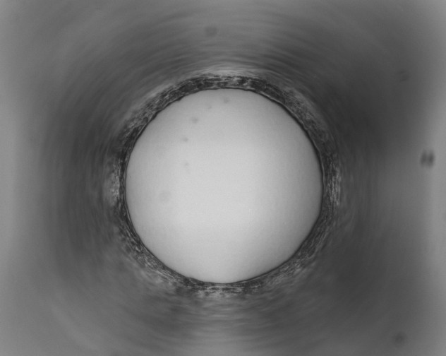 X0000111590821200908061347