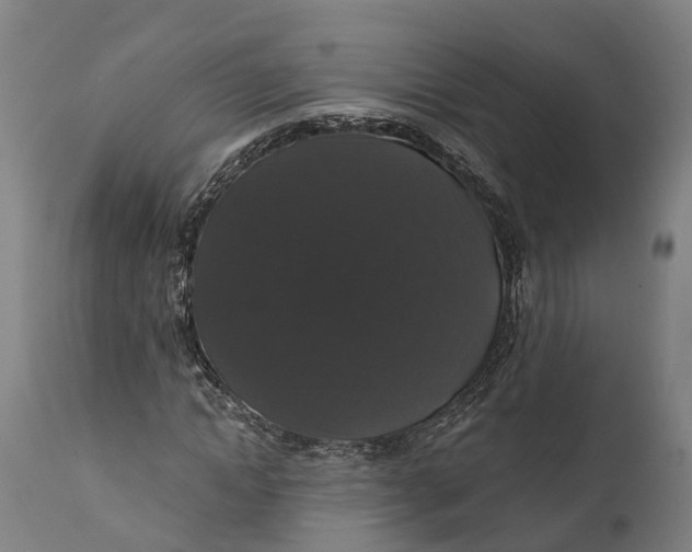 X0000111590822200908061347