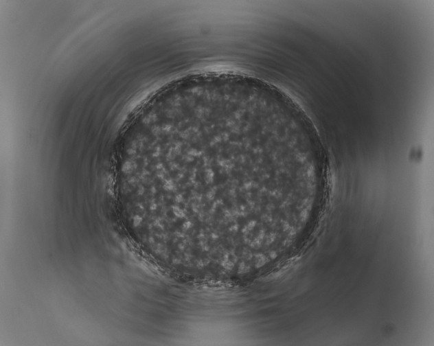 X0000111590823200908061347