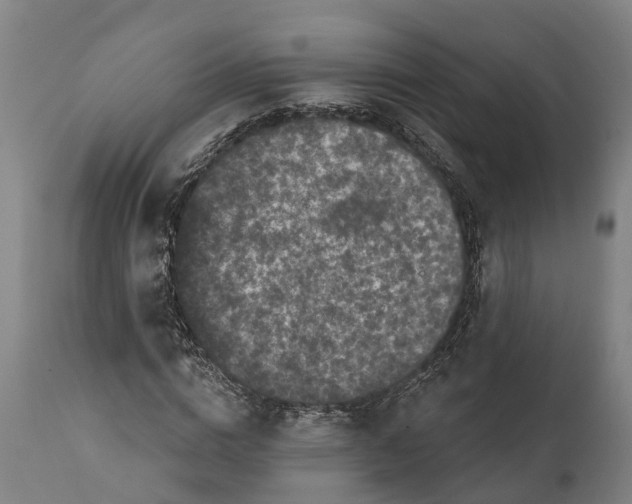 X0000111590824200908061347