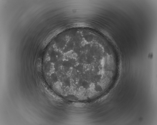 X0000111590825200908061347