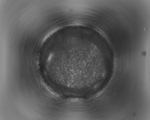 X0000111590826200908061347