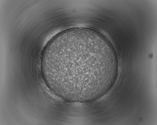 X0000111590827200908061347