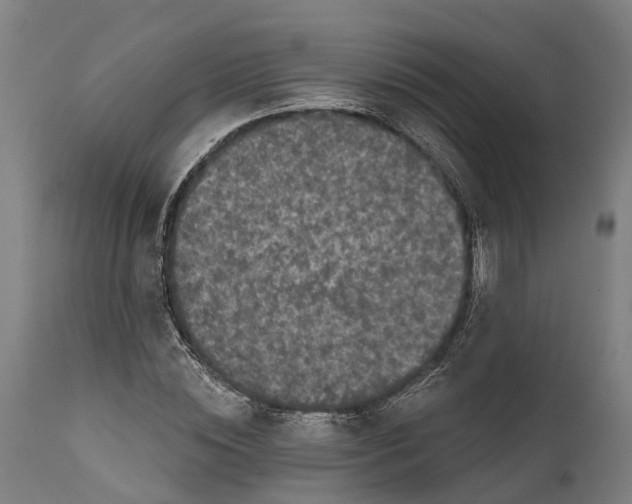 X0000111590828200908061347