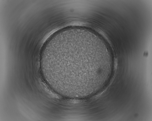 X0000111590829200908061347