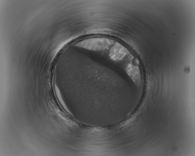 X0000111590830200908061347