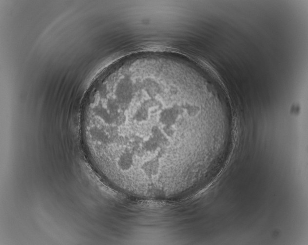 X0000111590831200908061347