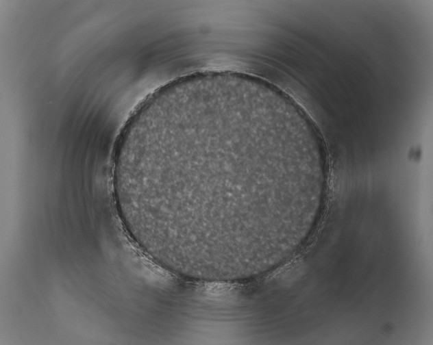 X0000111590832200908061347