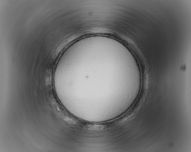 X0000111590833200908061347